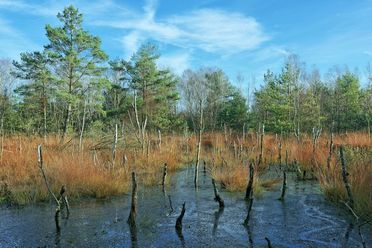 moorlandschaft-blauer-himmel