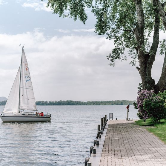 Inselresort-Wilhelmstein-Segelboot-Baum-Promenade