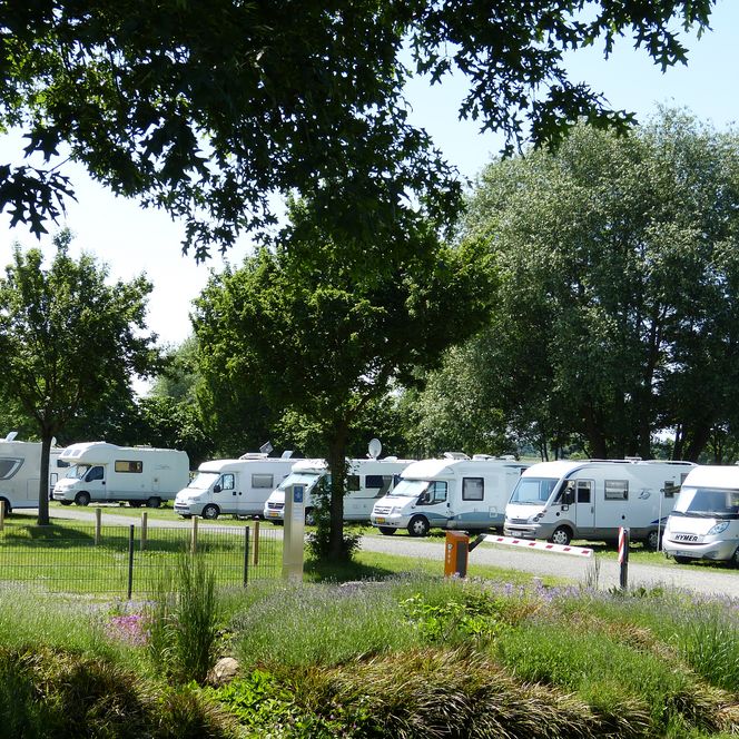 Mehrere Wohnmobile sind auf einem grünen Stellplatz unter schattigen Bäumen geparkt.