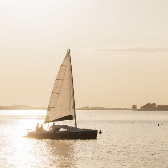 Segelboot Wilhelmstein Sommerabend Festliches Wochenende