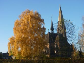 Eine herbstliche Ansicht der Hagenburger Kirche mit einem goldgelben Baum und strahlend blauem Himmel.