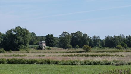 Ein hölzerner Aussichtsturm erhebt sich über weitläufigen Wiesen mit Bäumen im Hintergrund.