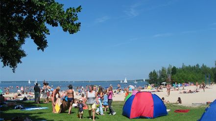 Mehrere Personen genießen sommerliche Aktivitäten auf einer grünen Wiese nahe einem sandigen Strand.